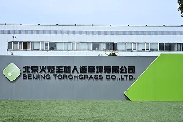 Company Profile
