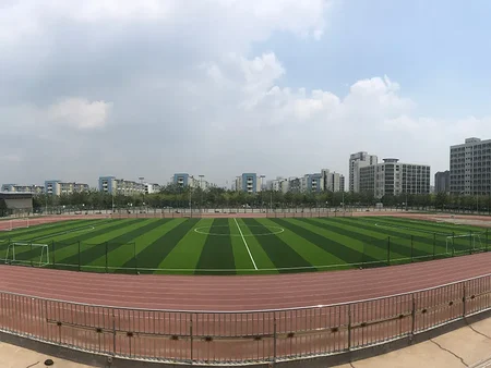 Tianjin University of Technology