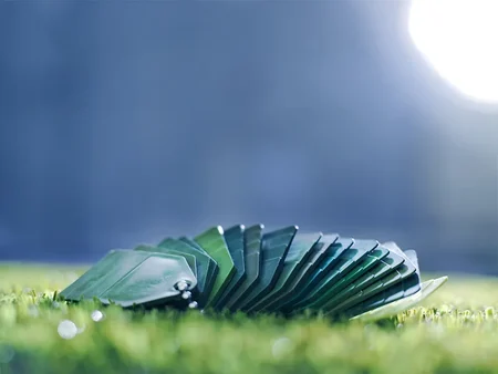 Production Highlights