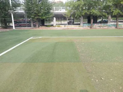 Artificial Grass Cleaning