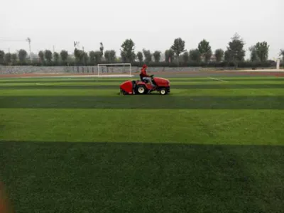 Artificial Turf Grooming