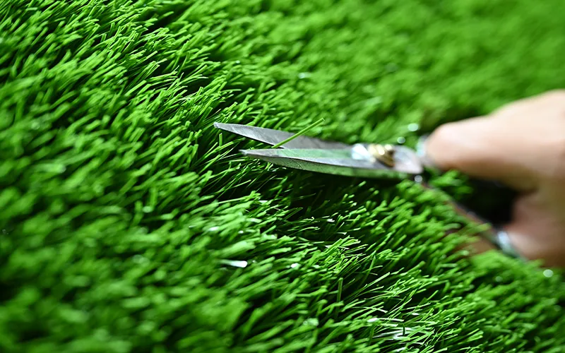 About Torchgrass