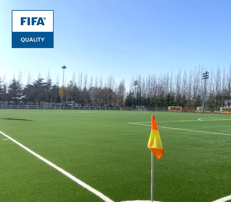 Shandong Luneng Taishan Football School Pitch B6