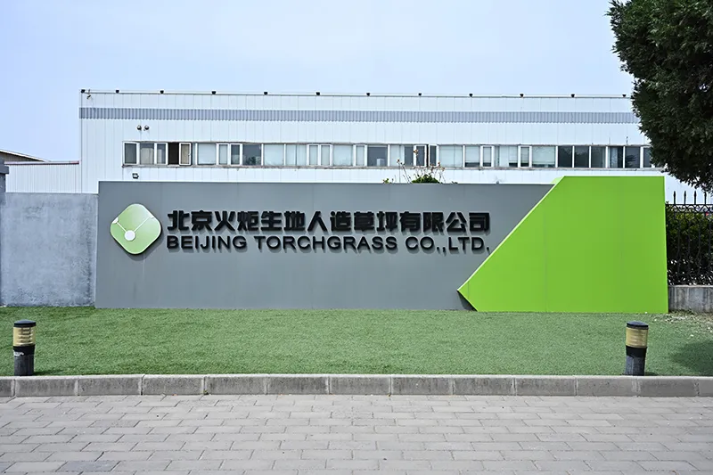 Company Profile