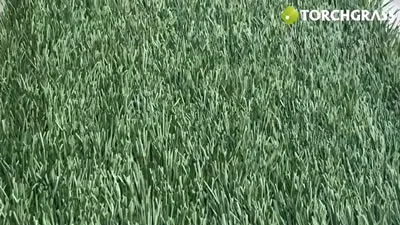 Multi-Purpose Artificial Turf, Monoslide XQ M3