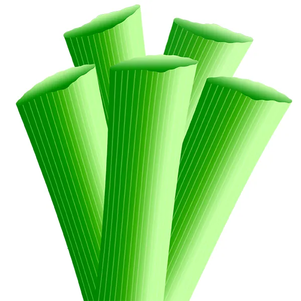 Product Overview