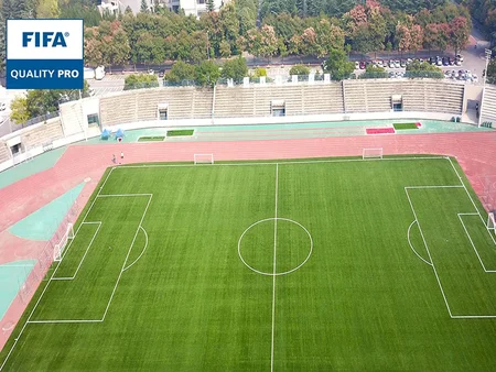 Shaanxi Normal University (Chang'an Campus) Sports Ground