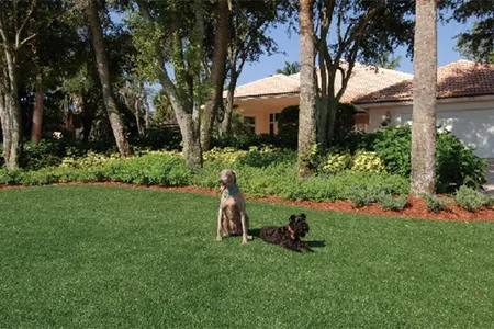 Related Case Studies