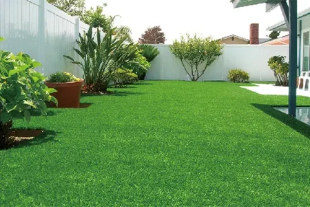 Related Case Studies