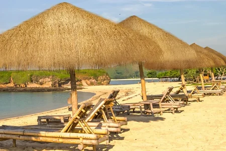 Related Case Studies