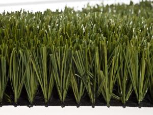 FLASH Rugby Artificial Turf